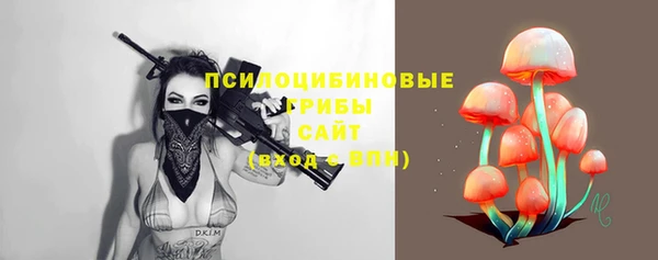 jwh Тайга