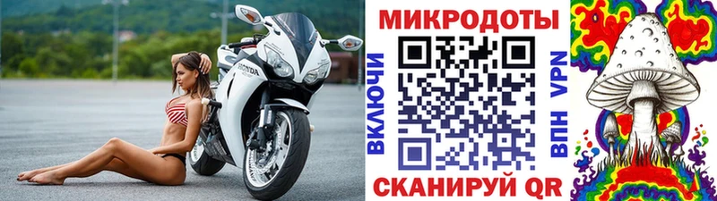 хочу   Котельнич  Псилоцибиновые грибы ЛСД 